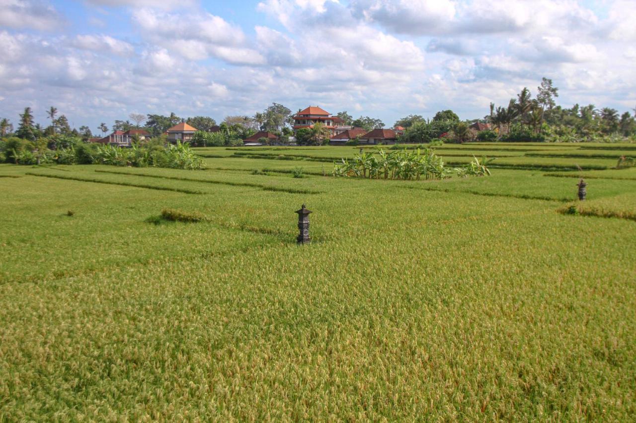 Kubu Sari Ubud Exterior photo