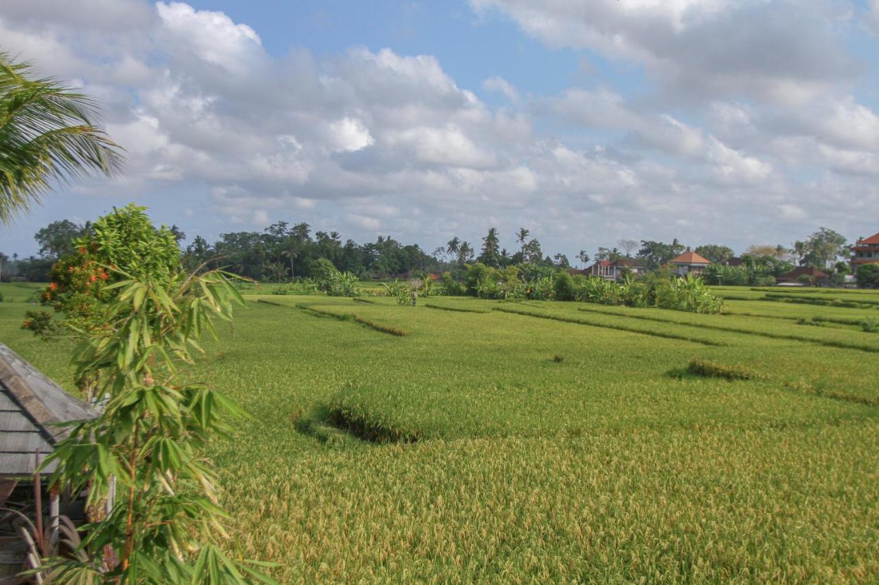 Kubu Sari Ubud Exterior photo