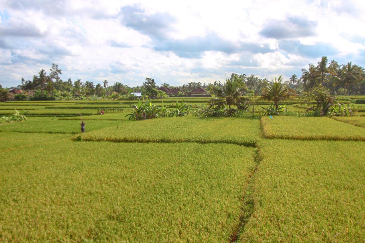 Kubu Sari Ubud Exterior photo