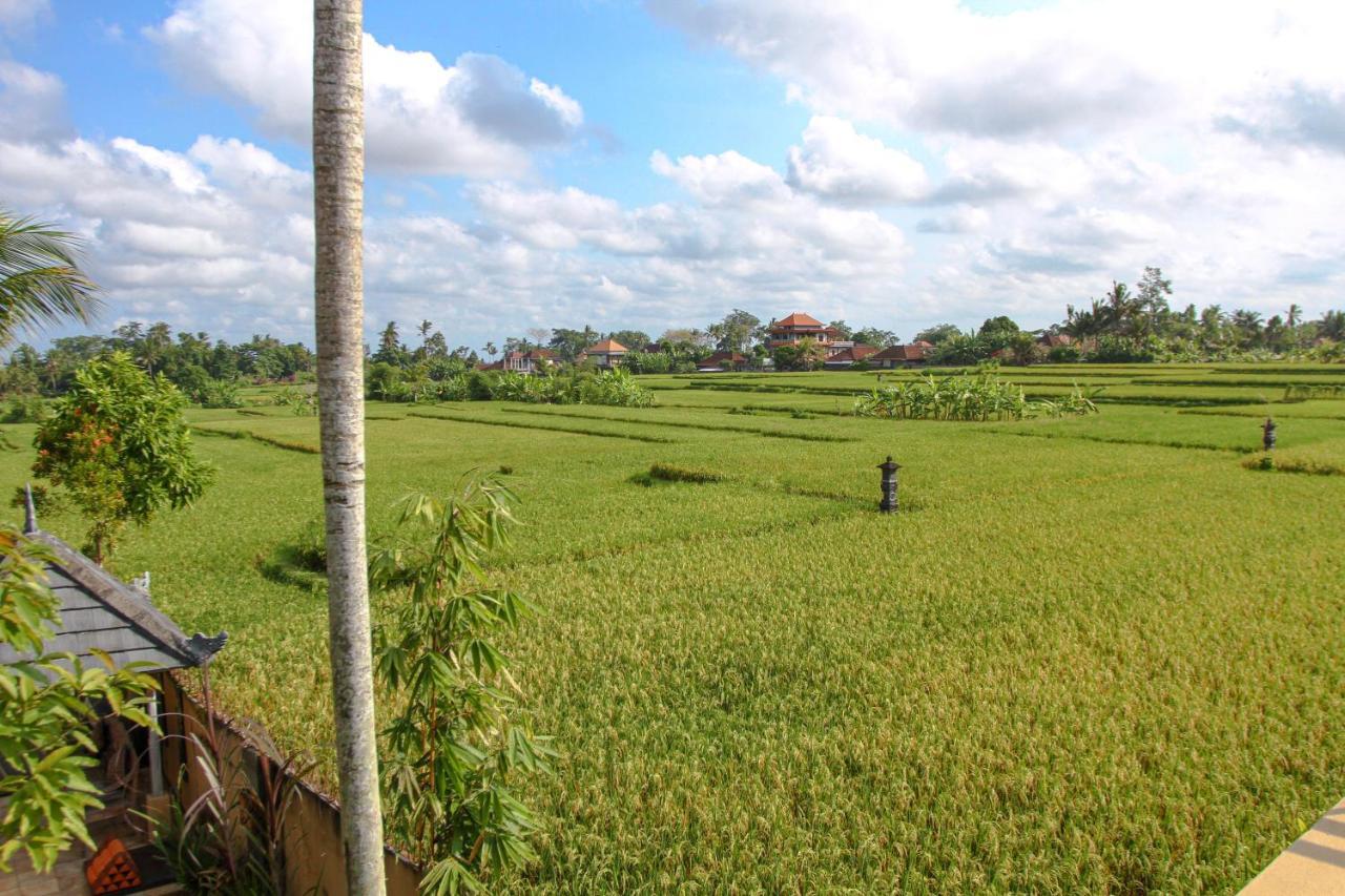 Kubu Sari Ubud Exterior photo